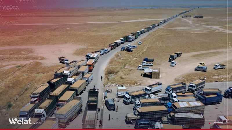 Nêzîkî milyonekê li Cizîrê.. Zêdetirî 2 milyon ton genim li Sûriyê hatine wergirtin